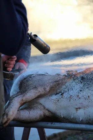 Fotók: Útirány.hu