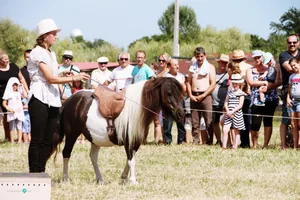 2019 Bakonyi Vágta. Fotók: Útirány.hu