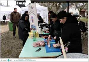 Képek a rendezvényről