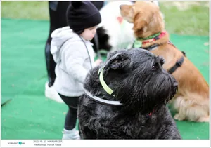 Fotók, Útirány.hu