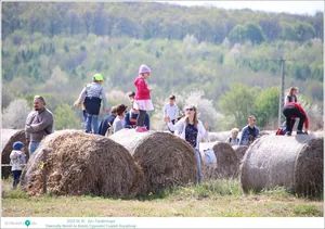 Fotók, Útirány.hu: