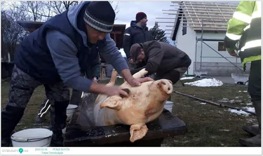 Fotók: Pénzesgyőr Önkormányzat