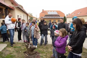 Fotók 1 album: Babai Lalinda