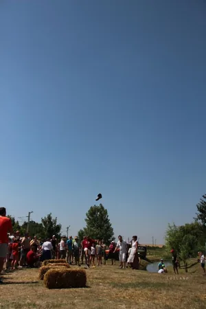 2017 Ösbő Vezér napok/ szombat/ képekben