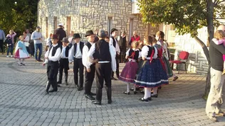 Sólyi Szüreti felvonulás borítóképe