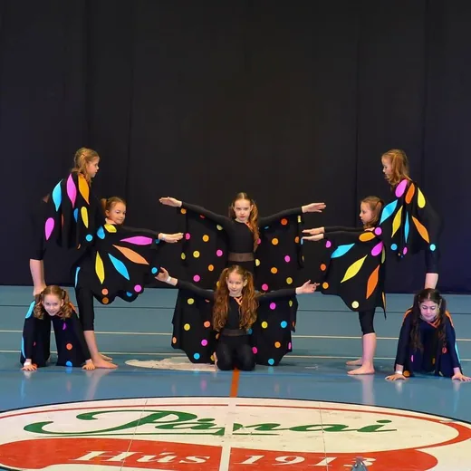 'Magic Dance SE. februári eredményei' cikk borítóképe