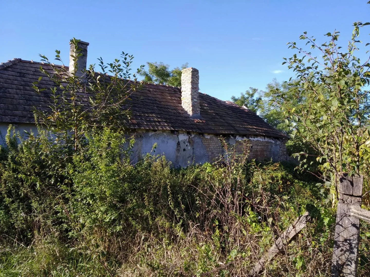 Kaptunk párdarab képet... Sajnos rosszabb mint gondoltuk