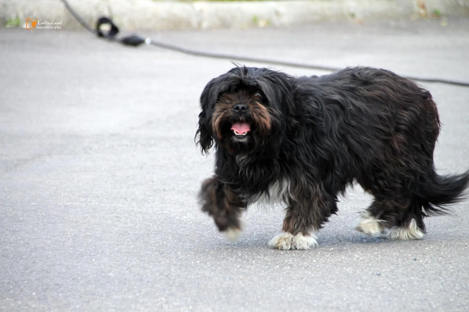 Maradj Otthon: Petőfi Színház előadása / Fotók: Útirány.hu