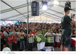 Fotók, Útirány.hu: