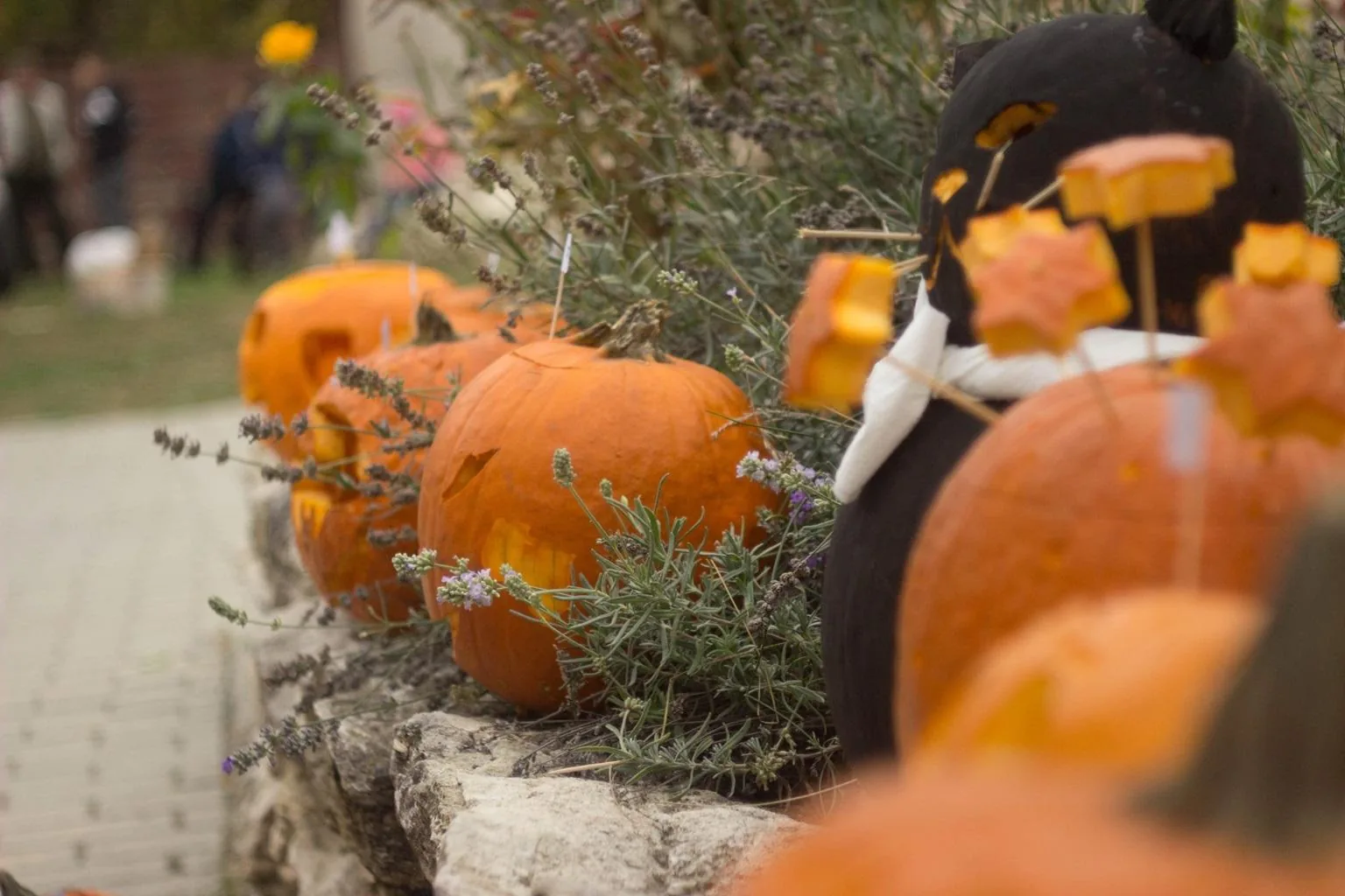 Tökfesztivál 2018. Képek: Babai Lalinda