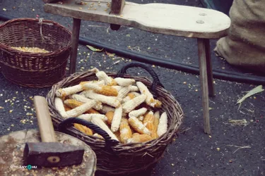 Nemzeti Vágta, szurkoljunk együtt a Bakonynak!