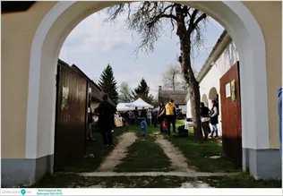 Medvehagymás Nap borítóképe