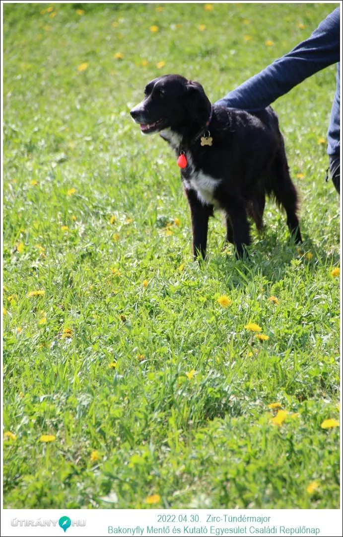 Fotók, Útirány.hu: