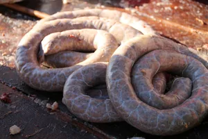 Fotók: Útirány.hu