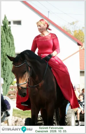 Képek