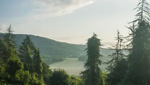 Fotó: Pesty Márton