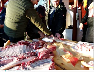 Fotók, Útirány.hu