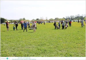 Fotók, Útirány.hu: