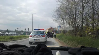 Célba értek az obeliszkkel! borítóképe