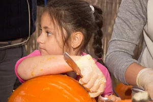 Fotók 1 album: Babai Lalinda