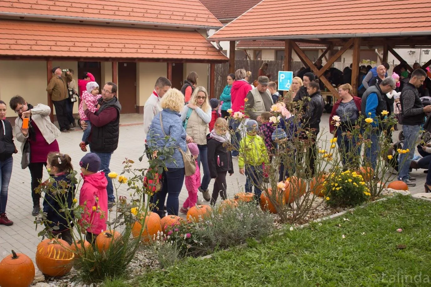 Fotók 2 album: Babai Lalinda