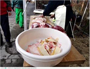 Fotók, Útirány.hu