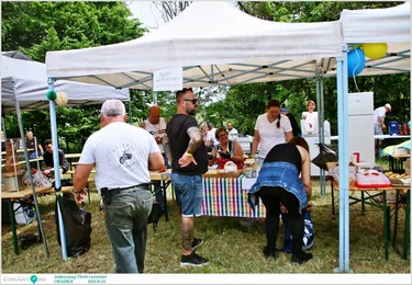 Jótékonysági Piknik Leventéért