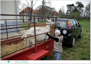 Fotók az eseményről: