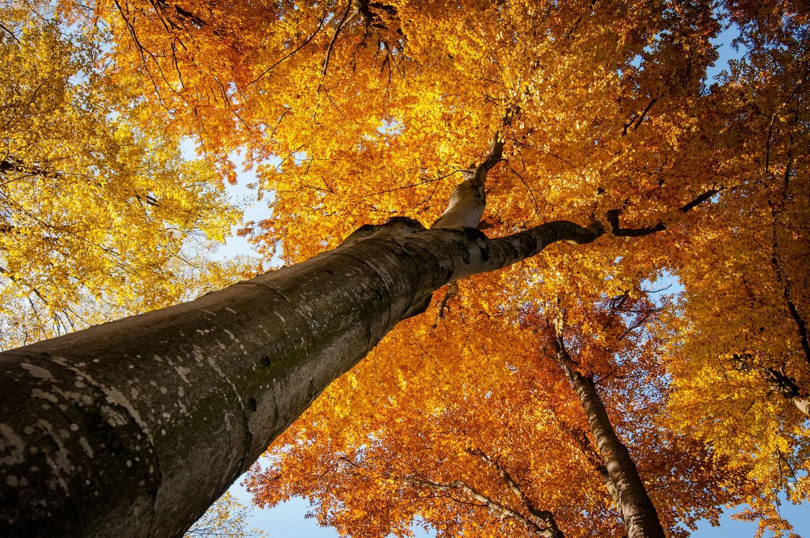 Fotó: Pesty Márton