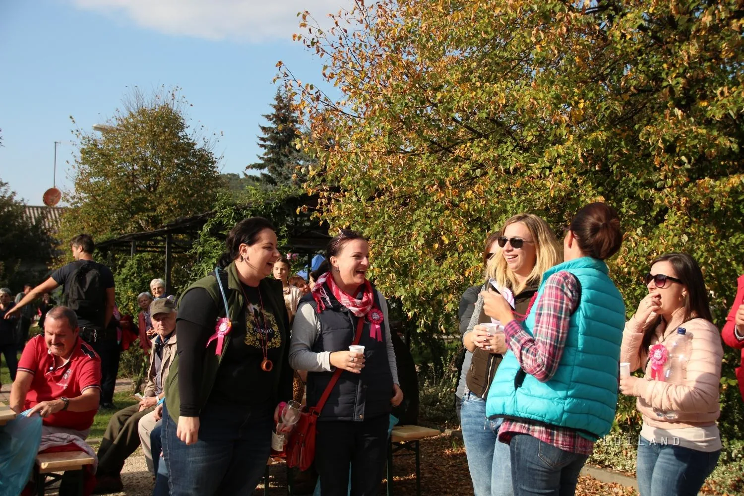 Kora délután, fotók: BakonyiHírek