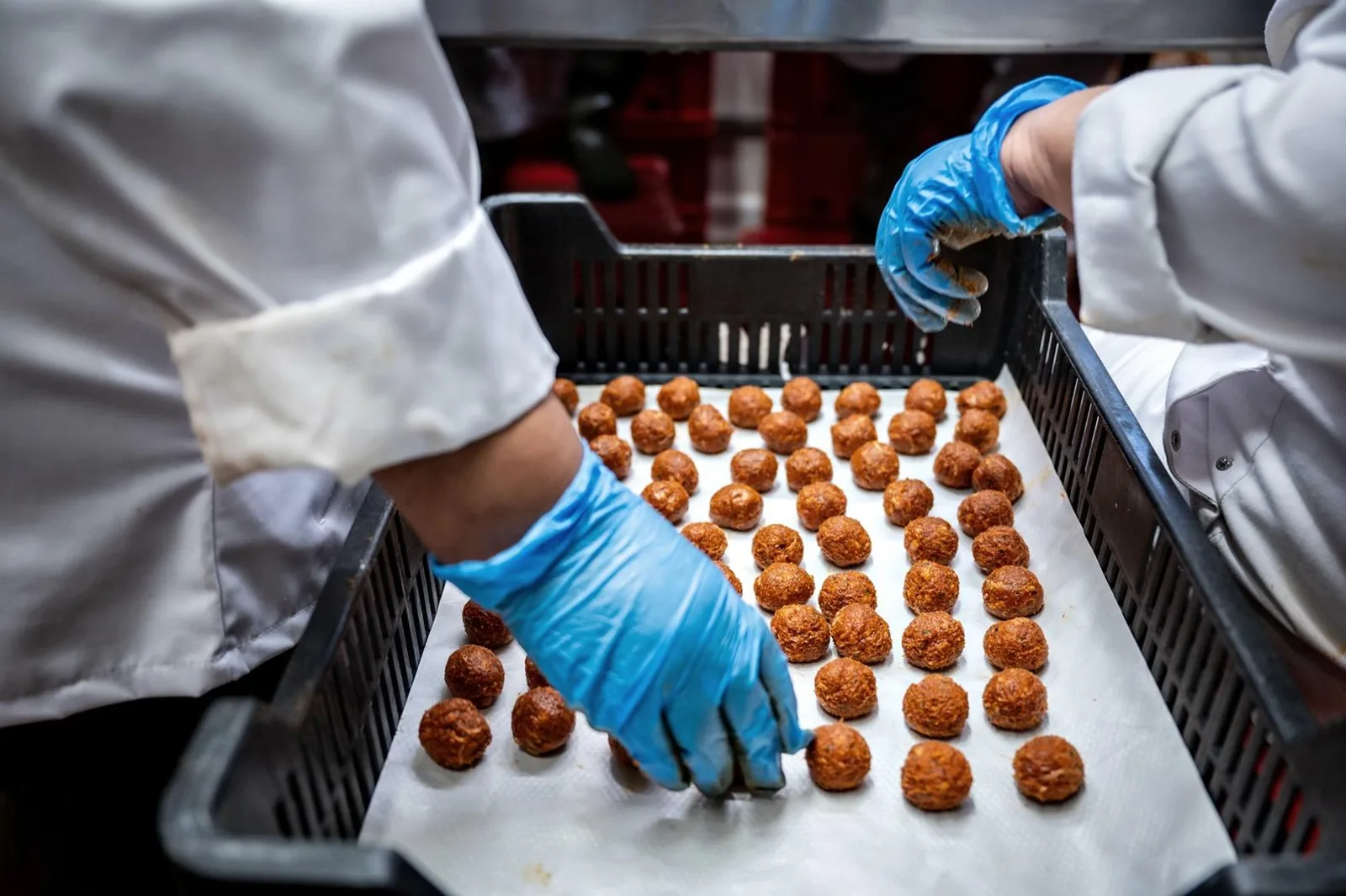 Képek: Horváth Dorottya