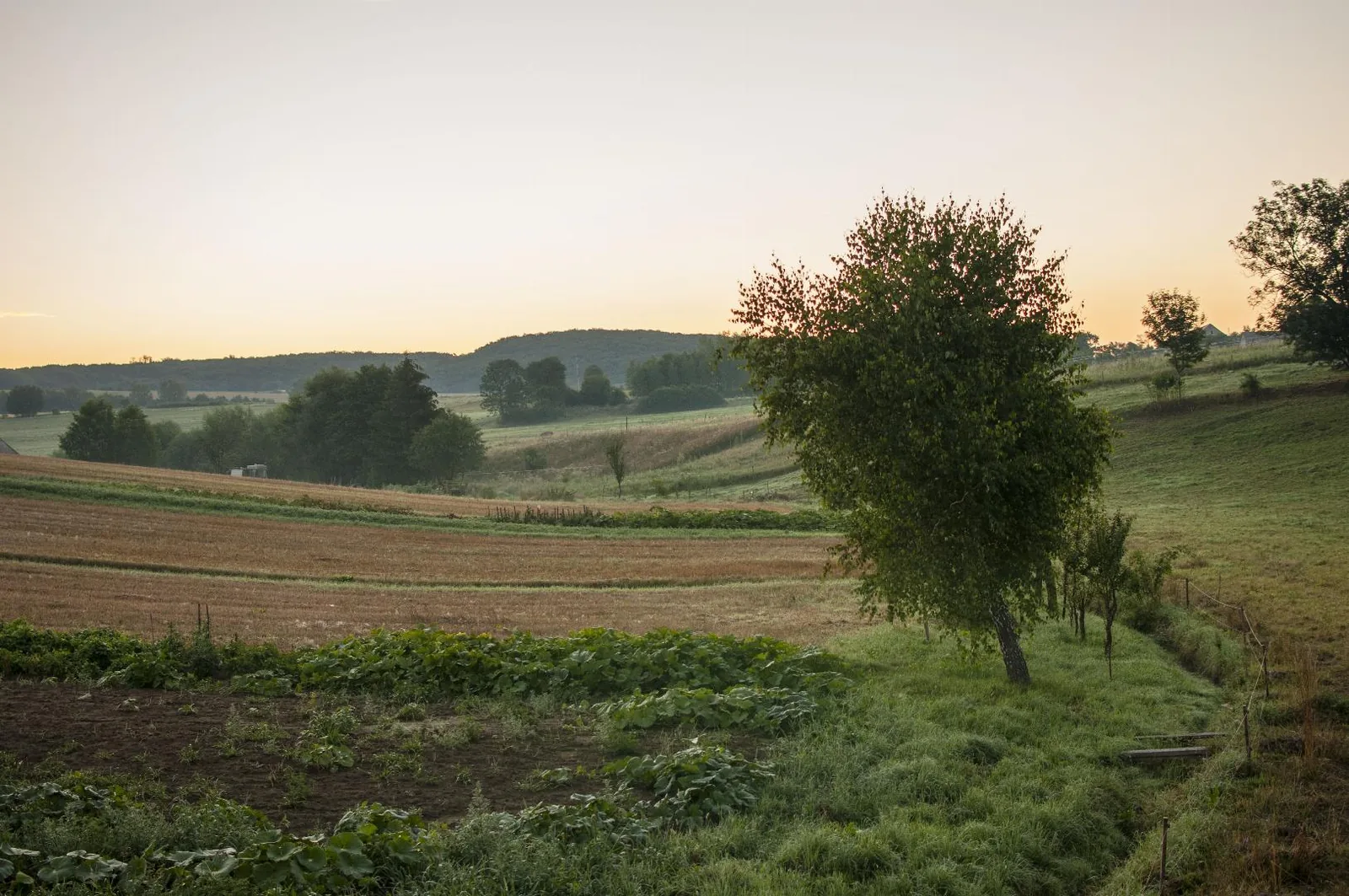 Fotó: Pesty Márton