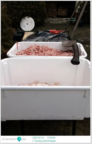 Fotók, Útirány.hu 