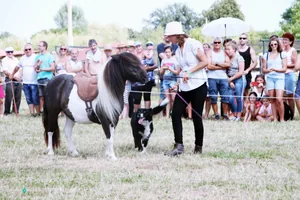 2019 Bakonyi Vágta. Fotók: Útirány.hu