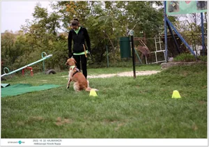 Fotók, Útirány.hu