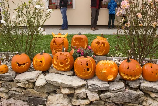 'Töklámpás Parádé' cikk borítóképe