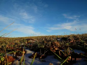 Kedvcsináló képek tavalyról! Fotók: Horváth Attila