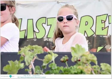 XIX. Bakonyi Krumpliszüreti és Művészeti Fesztivál Olaszfalu
