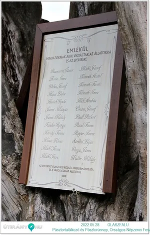 Helyszínen készült fotók