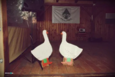 Fotók: Útirány.hu