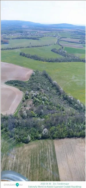 Fotók, Útirány.hu: