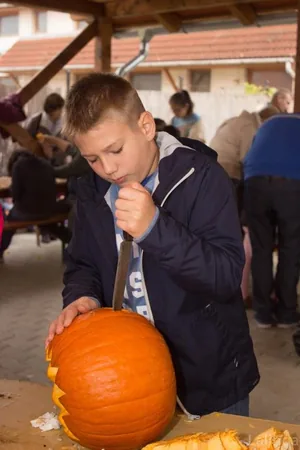 Fotók 1 album: Babai Lalinda