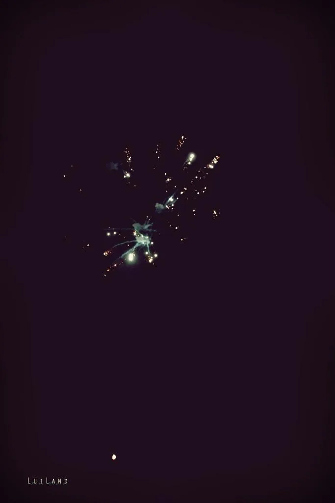 Nyárbúcsúztató főzőverseny, Fotó: LuiLand 