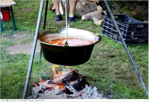 Képek: Útirány.hu