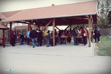 IX. Tökfesztivál