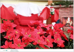 Fotók, Útirány.hu