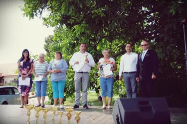 IV. Sólyi Falunap 