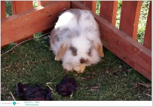 2022.04.14. csütörtöki nap Fotók: Útirány.hu