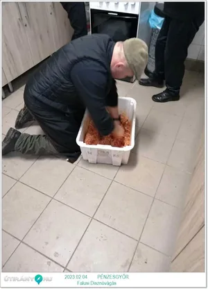 Fotók: Pénzesgyőr Önkormányzat