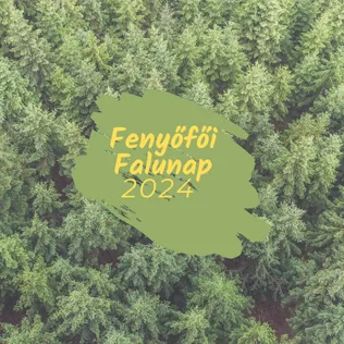 Fenyőfői Falunap 2024 borítóképe